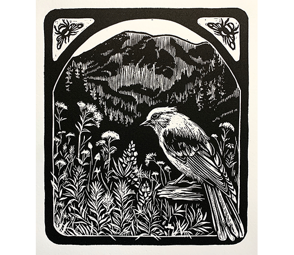 Tahoma Gray Jay - Kathy Anderson